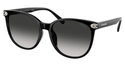 COACH HC8414BD CW428 Sunglasses