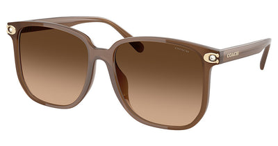COACH HC8413BD CW419 Sunglasses