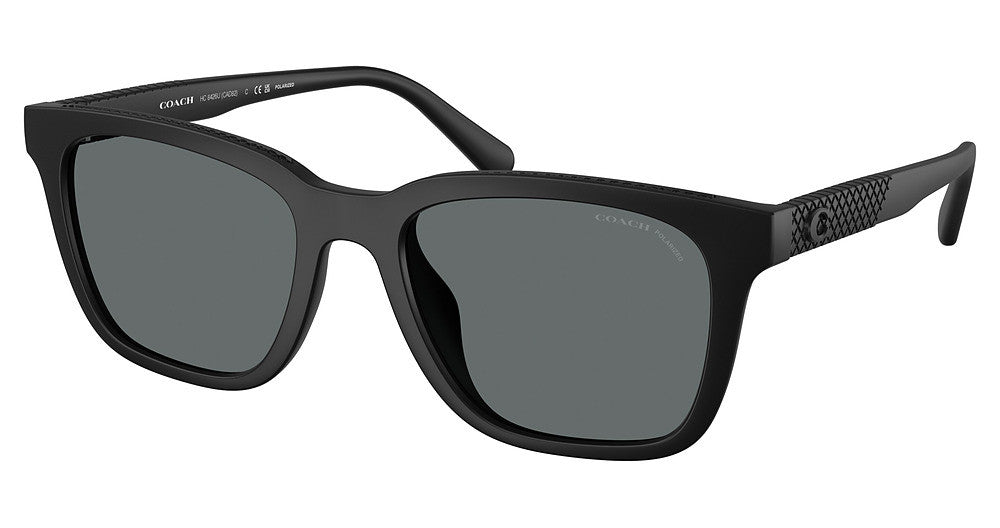 COACH HC8426U CAD81 Sunglasses