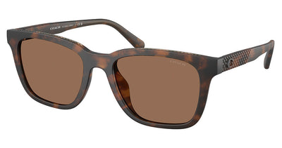 COACH HC8426U CAD81 Sunglasses