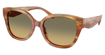 COACH HC8438U CBY94 Sunglasses