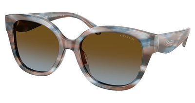 COACH HC8438U CBY94 Sunglasses