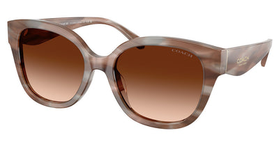 COACH HC8438U CBY94 Sunglasses