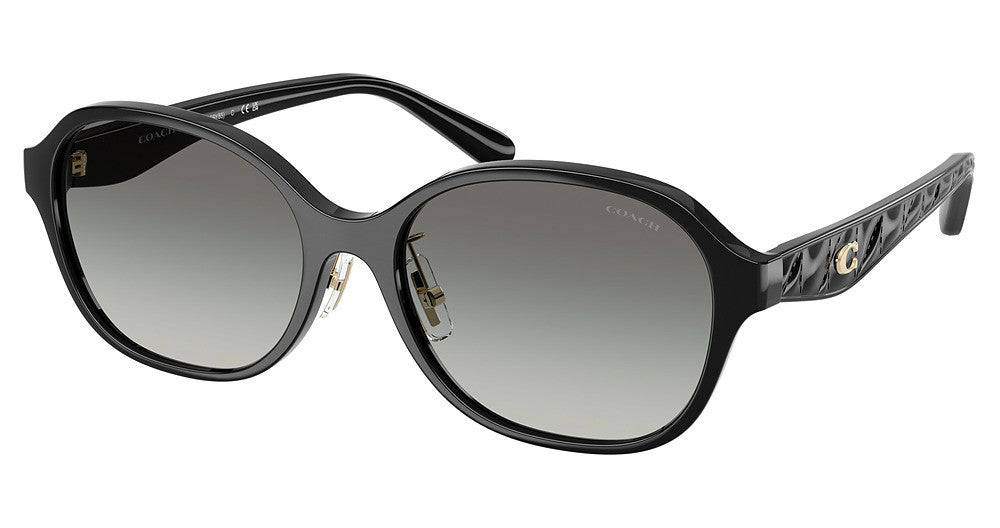 COACH HC8445D CBY85 Sunglasses