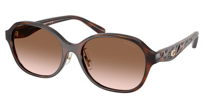 COACH HC8445D CBY85 Sunglasses
