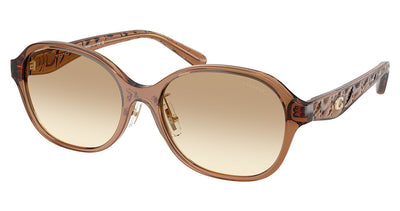 COACH HC8445D CBY85 Sunglasses
