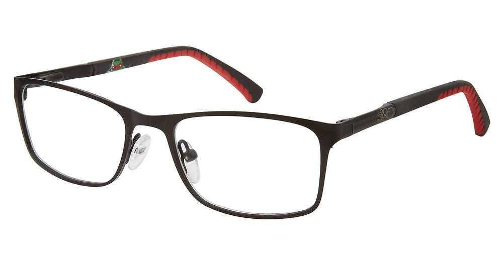 TEENAGE MUTANT NINJA TURTLES RUMBLE Eyeglasses