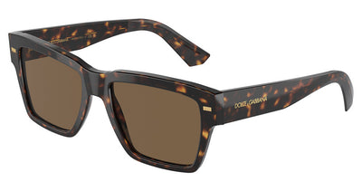 DOLCE & GABBANA DG4431 Sunglasses
