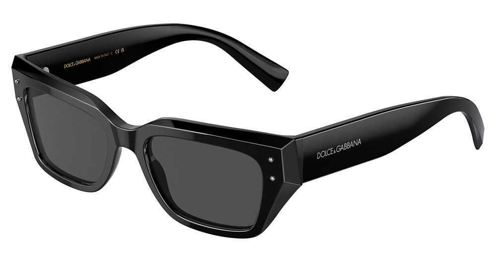 DOLCE & GABBANA DG4462 Sunglasses