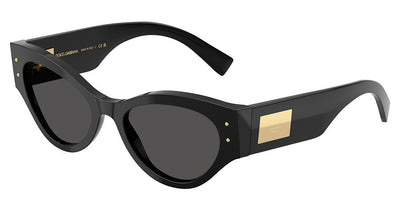 DOLCE & GABBANA DG4480 Sunglasses