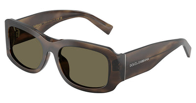 DOLCE & GABBANA DG4503 Sunglasses