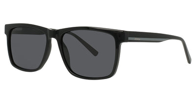 INVU INVU-316 Sunglasses
