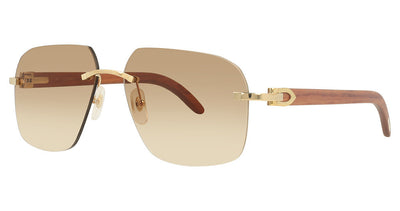 Cartier CT0041RS Sunglasses