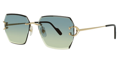 Cartier CT0466S Eyeglasses