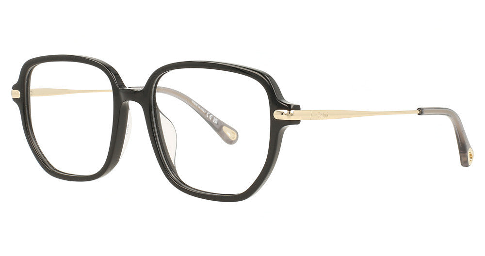 Chloé CH0218OA Eyeglasses