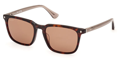 Web WE0369 Sunglasses