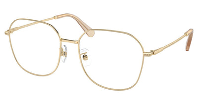 SWAROVSKI SK1009D Eyeglasses