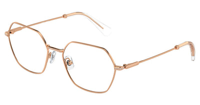 SWAROVSKI SK1011 Eyeglasses