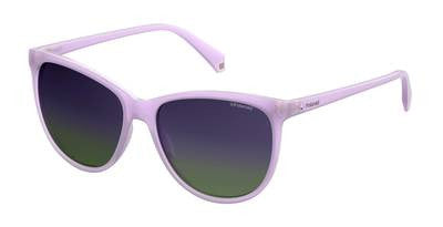Polaroid Core Sunglasses PLD 4066/S - Go-Readers.com