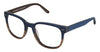 Seventy one Eyeglasses Bellarmine - Go-Readers.com