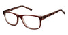 New Globe Eyeglasses M433 - Go-Readers.com