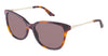 Brendel Sunglasses 916021 - Go-Readers.com