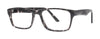 Eight to Eighty Eyeglasses Dennis - Go-Readers.com