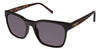 Ann Taylor Sunglasses ATP900 - Go-Readers.com