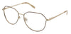 Ellen Tracy Eyeglasses Jaipur - Go-Readers.com