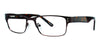 Eight to Eighty Eyeglasses Explorer - Go-Readers.com