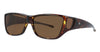 Hilco Leader Fitover Sunglasses SOMERSET - Go-Readers.com