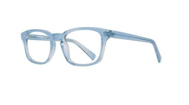 Affordable Designs Eyeglasses Jan