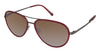 Modz Sunz Sunglasses Myrtle - Go-Readers.com