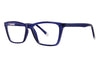 Modern Eyeglasses Elated - Go-Readers.com
