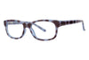 Modern Eyeglasses Hopscotch - Go-Readers.com