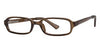 Modern Eyeglasses Wiggle - Go-Readers.com