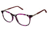 Nicole Miller Eyeglasses Dove - Go-Readers.com