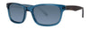 Original Penguin Sunglasses The Gondorff Polarized - Go-Readers.com