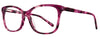 Paola Belle Eyeglasses PB842 - Go-Readers.com