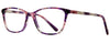 Paola Belle Eyeglasses PB859 - Go-Readers.com