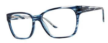 Practical Eyeglasses Perry - Go-Readers.com
