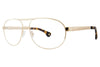 Randy Jackson Eyeglasses 1099 - Go-Readers.com