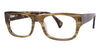 Randy Jackson Eyeglasses 3007 - Go-Readers.com