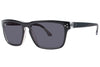 Randy Jackson Sunglasses S919P - Go-Readers.com