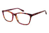 Real Tree Girl Eyeglasses G321 - Go-Readers.com