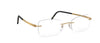 Silhouette Momentum Eyeglasses 5529 HC - Go-Readers.com