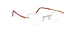 Silhouette Momentum Eyeglasses 5529 HE - Go-Readers.com