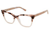 Ted Baker Eyeglasses TW002 - Go-Readers.com