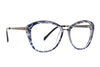 Vera Bradley Eyeglasses VB Nova - Go-Readers.com