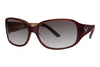 Via Spiga Sunglasses 324-S - Go-Readers.com